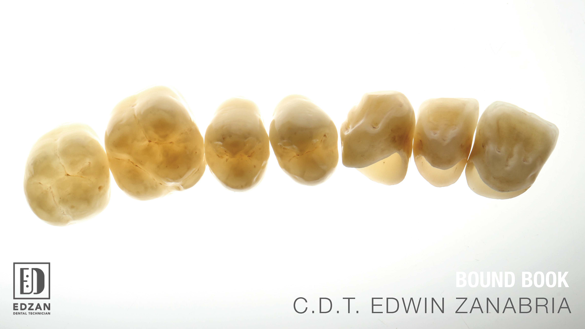 Edzan Lab Portfolio - Case Study Page 1