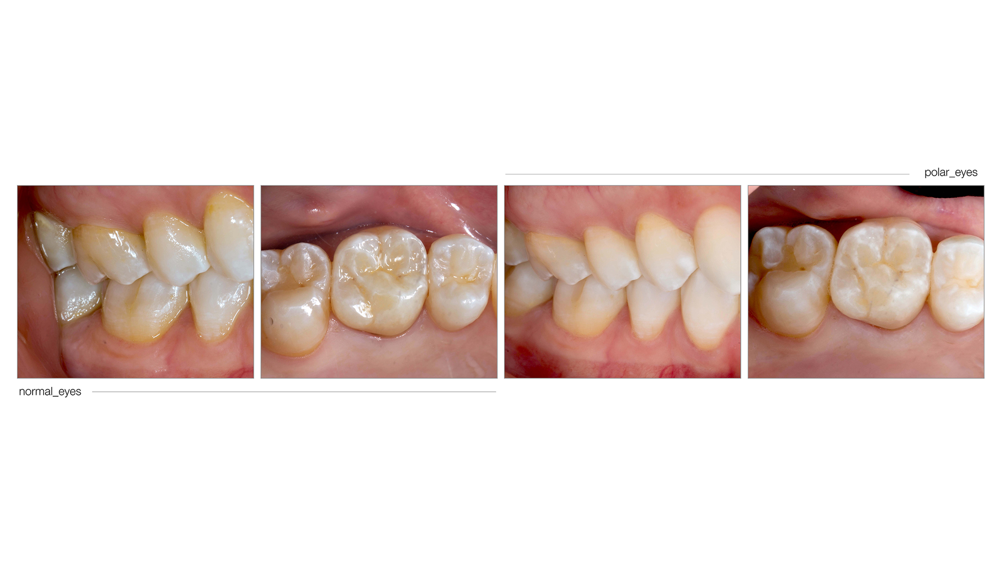 Edzan Lab Portfolio - Case Study Page 5